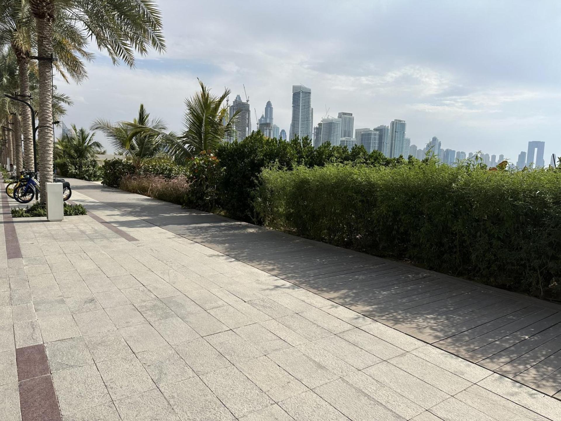 First Class Apartments In Seven Palm With Direct Access To The West Palm Beach And Nakheel Mall 迪拜 外观 照片